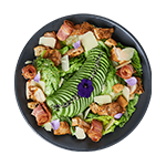 Miami Salad 